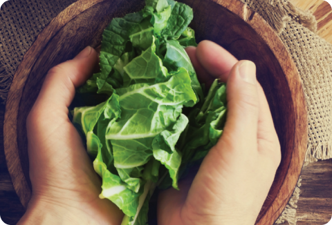 SIGMA Nutrition Guide